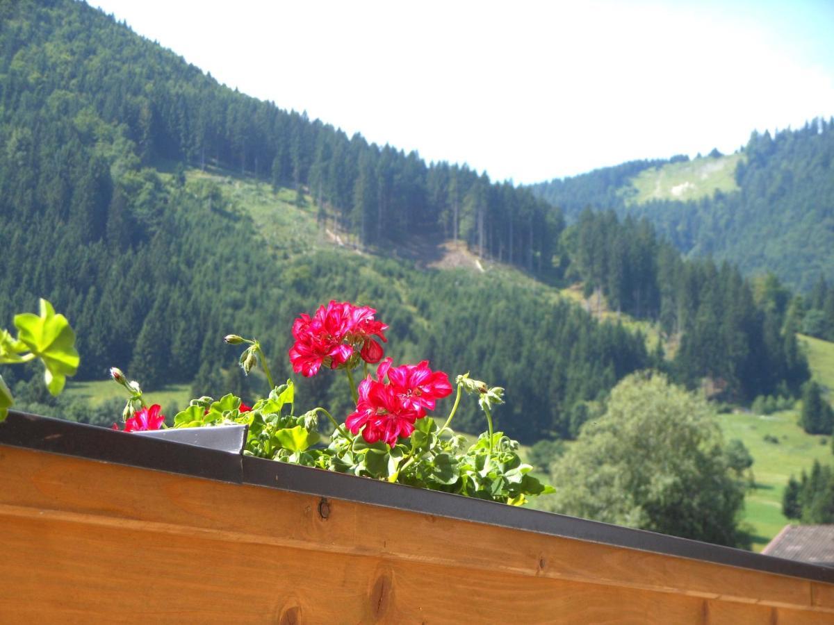 Apartment Traumblick Unterammergau Kültér fotó