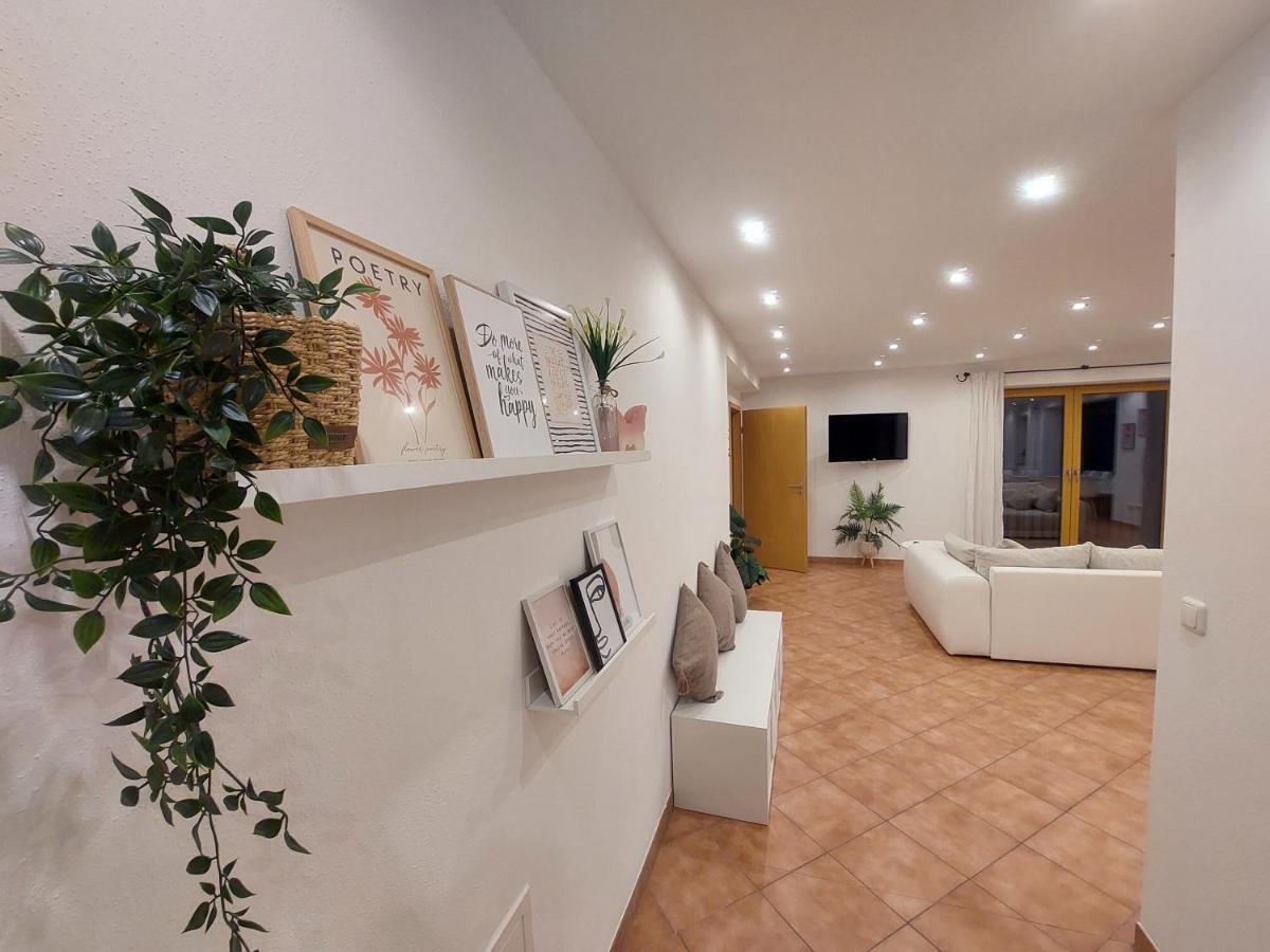 Apartment Traumblick Unterammergau Kültér fotó
